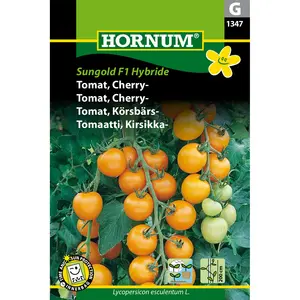 Cherrytomat, Sungold F1