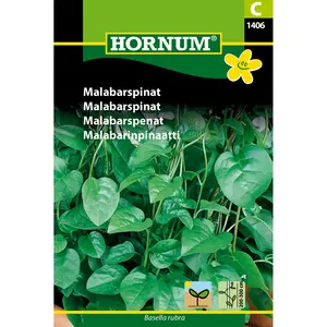 Malabarspenat