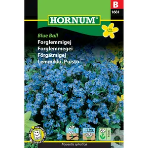 Förgätmigej, Blue Ball