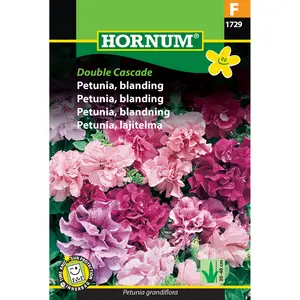 Petunia, Double Cascade mix