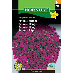Hängpetunia, Purpur Cascade