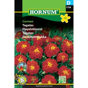 Tagetes, Carmen