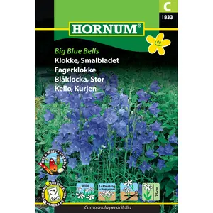 Blåklocka, Big Blue Bells