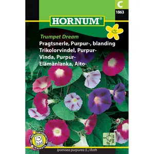 Purpurvinda, Trumpet Dream mix
