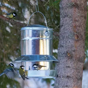Fröautomat, Gigant zinc