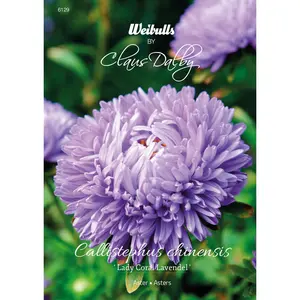 Pionaster, Lady Coral Lavender