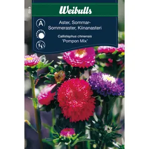 Sommaraster, Pompon mix