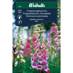 Fingerborgsblomma, mix