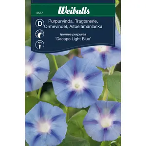Blomman för dagen, Dacapo Light Blue