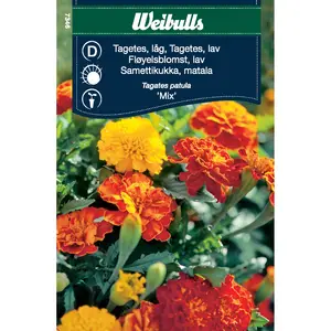 Tagetes, låg mix