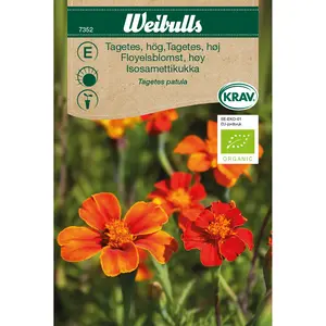 Tagetes, Enkel hög KRAV