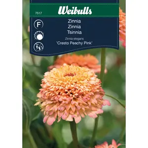 Zinnia, Cresto Peachy Pink