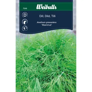 Dill, Mammut
