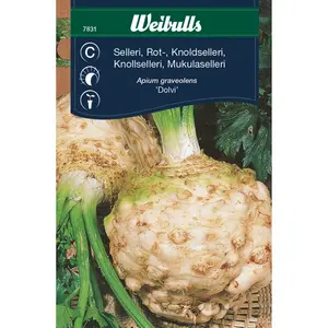 Rotselleri, Dolvi