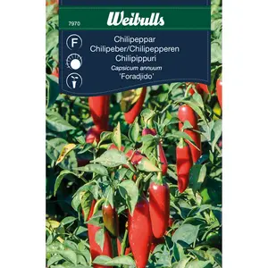Chilipeppar, Foradjido - OUTLET