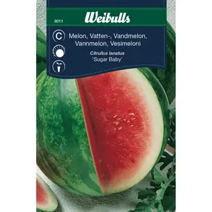 Vattenmelon, Sugar Baby