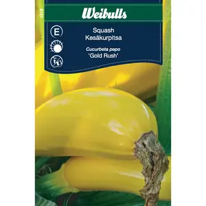 Squash, Gold Rush