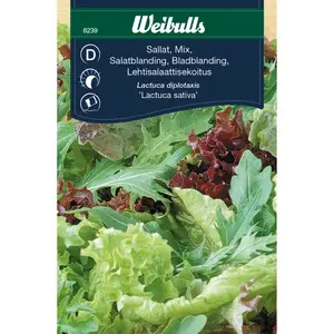 Sallat, Lactuca sativa mix