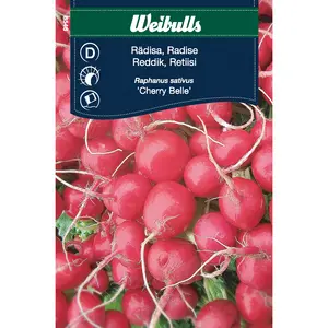Rädisa, Cherry Belle