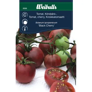Körsbärstomat, Black Cherry