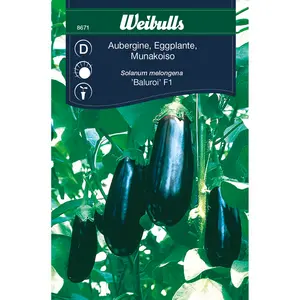 Aubergine, Baluroi F1