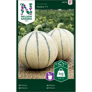Melon, Stellio F1