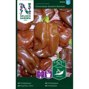 Chilipeppar, Chocolate Scotch Bonnet