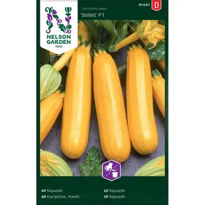 Squash, Soleil F1