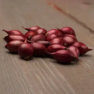 Sättlök, Red Baron röd 200 g