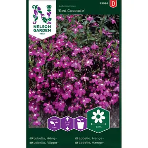 Hänglobelia, Red Cascade