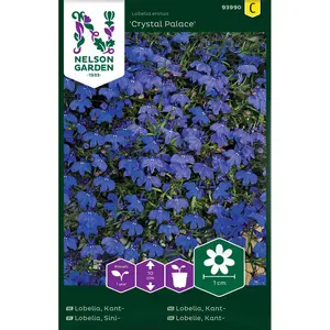 Kantlobelia, Crystal Palace