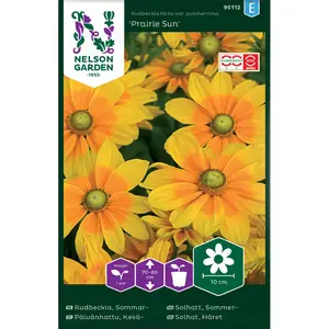 Sommarrudbeckia, Praire Sun
