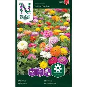 Zinnia, Takii's Choice mix