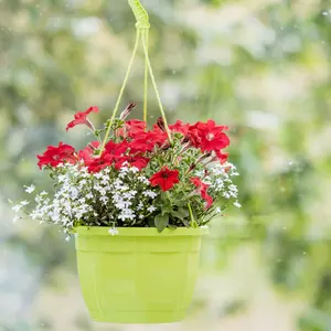 Ampel Octo 26cm med hänge, lime