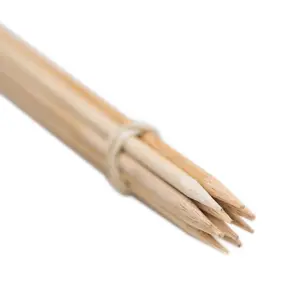 Blompinnar 30 cm, 10-pack