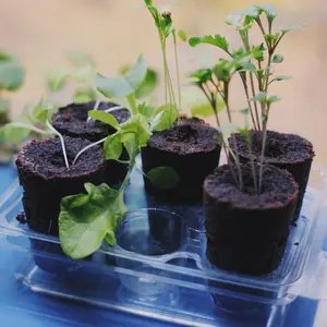 Hydroponisk odlingsplugg 6-pack utan frö