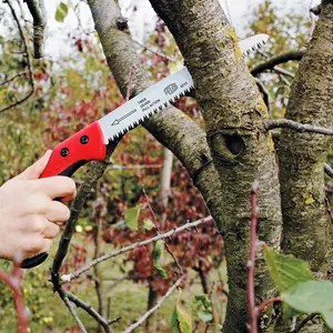 Grensåg, Felco 621
