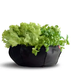 GardenDrop Mini