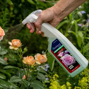 Rosor bladnäring Feed & Shine 750ml spray