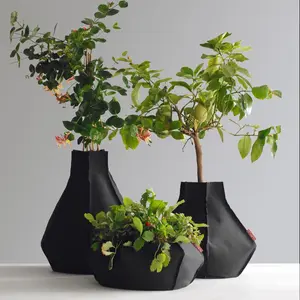 GardenDrop Medi