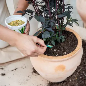 Långtidsverkande växtnäring 300g
