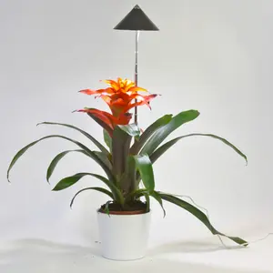 Sunlite Växtlampa 7W, Grafitgrå
