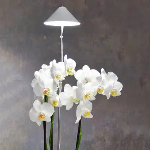 Sunlite Växtlampa 10W, vit