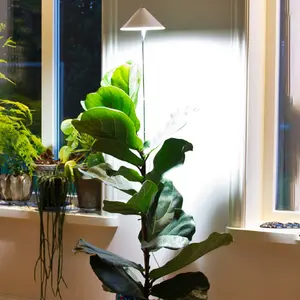 Sunlite XL Växtlampa 25W, vit