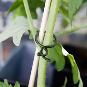 Tomatclips 20 st