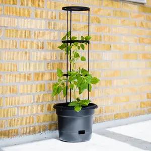 Tomatkruka 10 liter, Svart