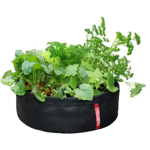 MicroGarden 60
