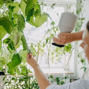 Sprayflaska 1 liter