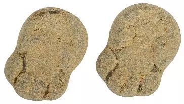 Pulverfylld Padda 3.5kg /