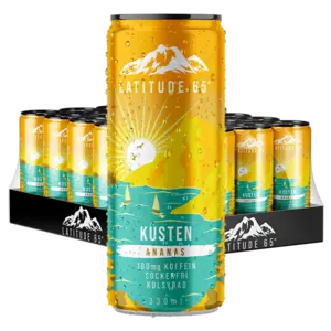 Latitude 65 Kusten 24st x 330ml